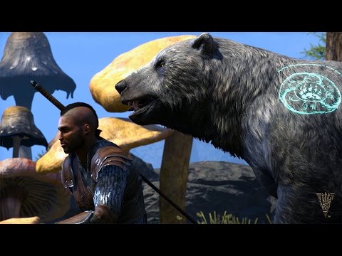 The Elder Scrolls Online: Morrowind – Gameplay-Trailer des Hüters