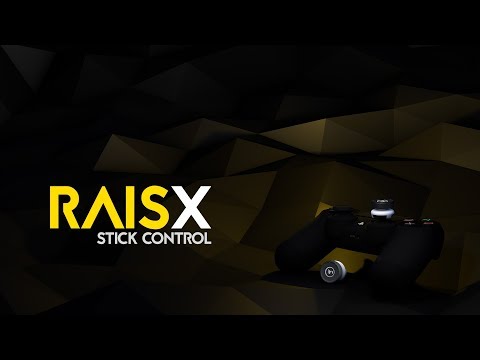 RAISX stick control