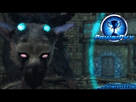 The Last Guardian - Keep On Running Trophy Guide