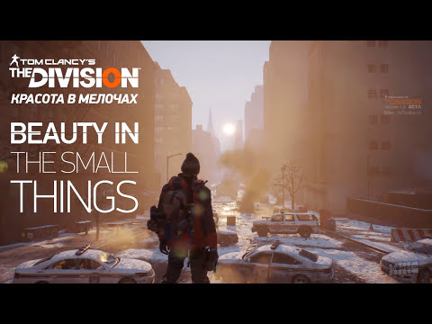 The Division: Beauty in the small things
