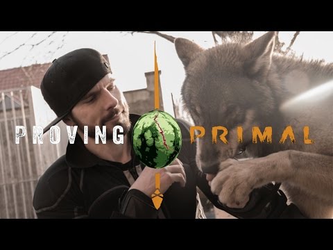 Proving Primal - Tiere | Far Cry Primal | Ubisoft [DE]