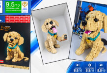 LEGO Golden Retriever Welpe im Test