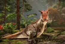 Primal Carnage Evolution bringt Dinosaurier Shooter als Remaster zurück Primal Carnage