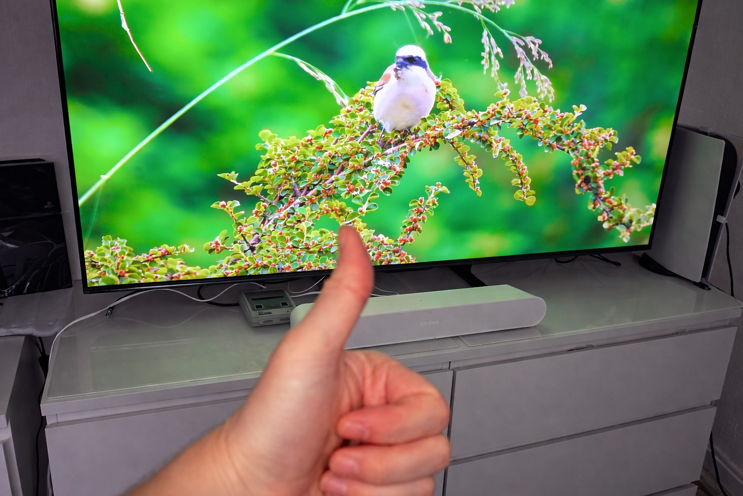 Sonos Ray im Test – Kompakte Soundbar mit starkem Klang und viel Sonos-Komfort - PlayStationInfo