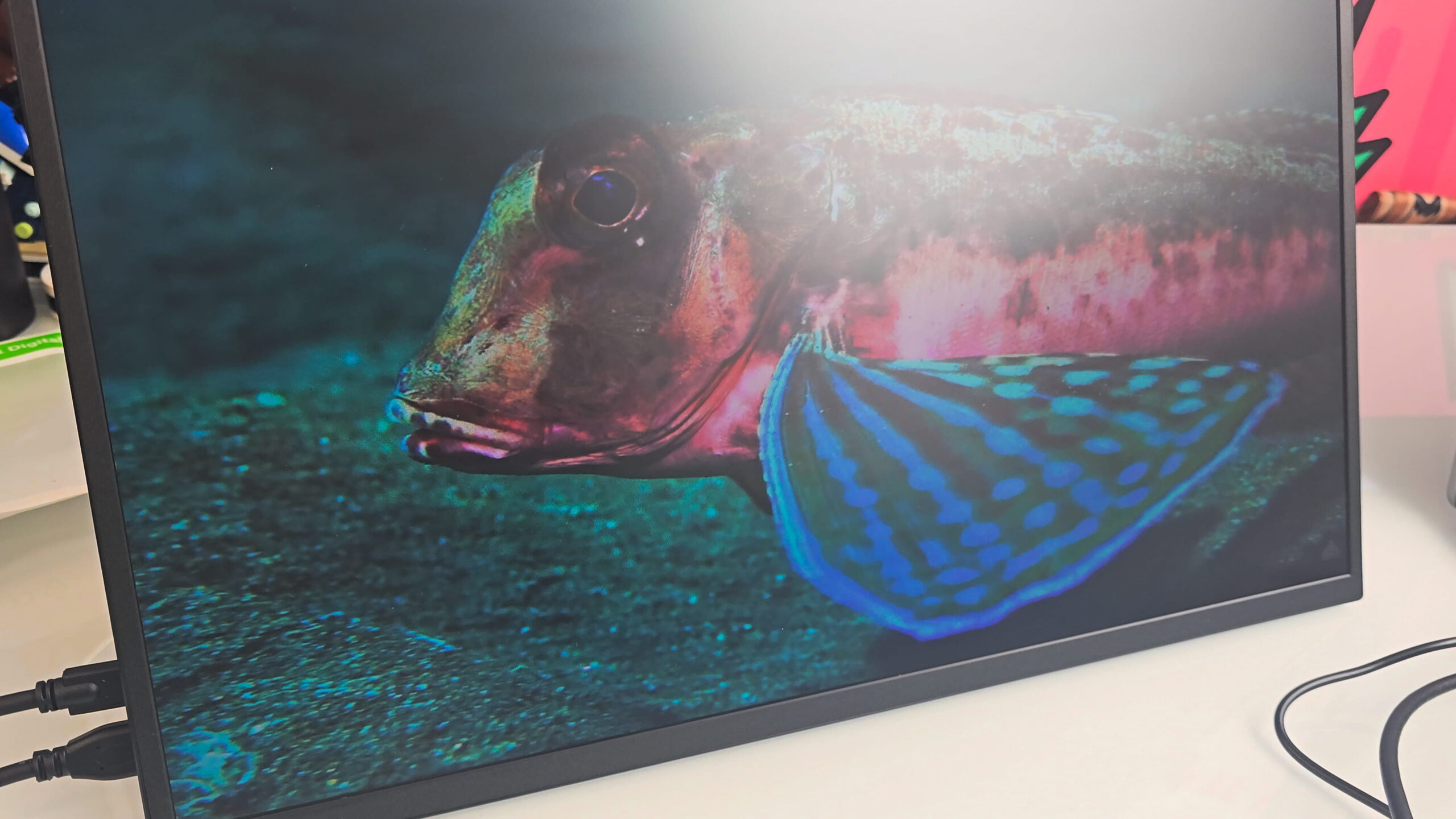 UPERFECT HN185BF im Test – 18,5 Zoll Gaming-Monitor mit 120 Hz und NxtLED-Technik überrascht im Alltag - PlayStationInfo